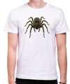 T-shirt - Fake suit