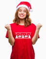 T-shirt - Christmas reindeer