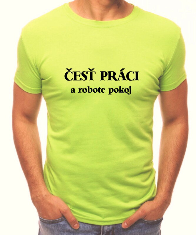 T-shirt - Christmas reindeer 