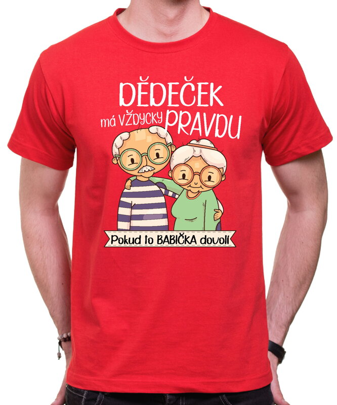T-shirt - Christmas reindeer 