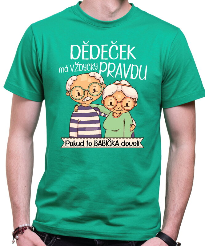 T-shirt - Christmas reindeer 