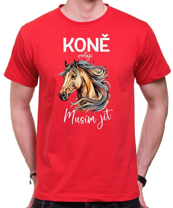 T-shirt - Christmas reindeer 