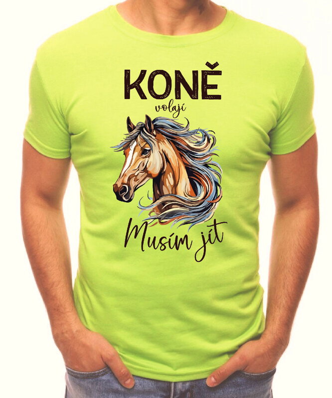 T-shirt - Christmas reindeer 