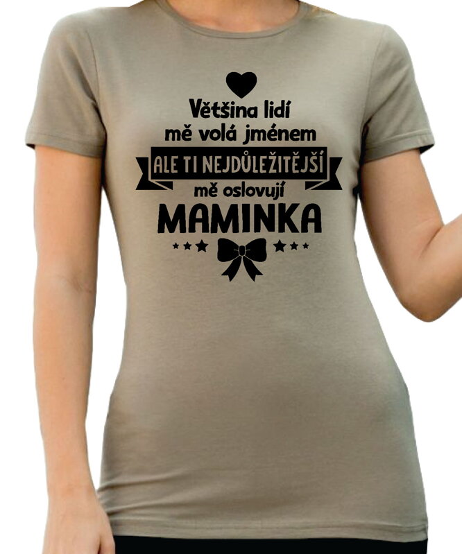 T-shirt - Christmas reindeer 