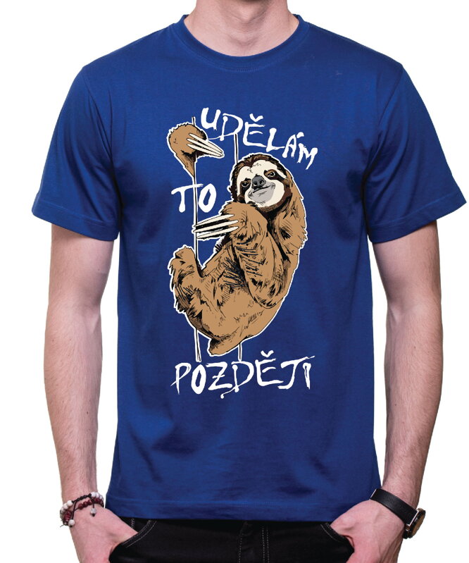 T-shirt - Christmas reindeer 