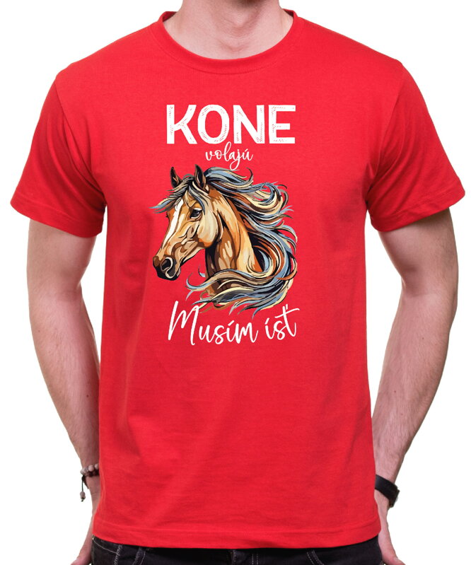 T-shirt - Christmas reindeer 