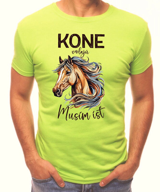 T-shirt - Christmas reindeer 